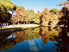-丽池公园