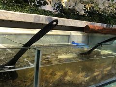 -川骄海鲜自助(河东店)