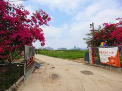 -光明小镇欢乐田园