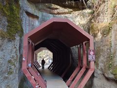 -武夷山风景名胜区-玉女峰