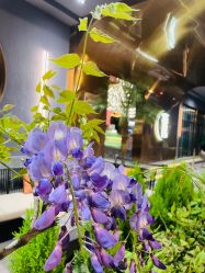 -花隐·美芙炫海菲秀皮肤管理中心