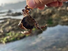 -石槽海滨浴场