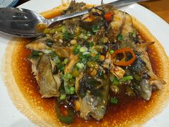 -国家五钻酒家·西樵旺阁渔村(西樵店)