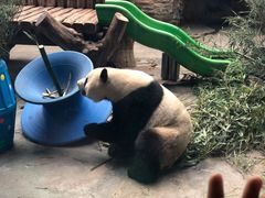 -石家庄市动物园