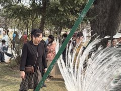 -横道河子东北虎林园