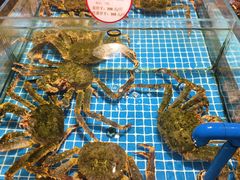 -连鹭海鲜·海肠捞饭·海胆饭(星海店)