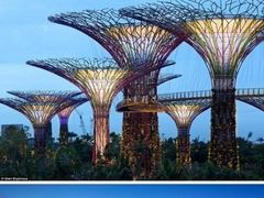 -荷兰布尔玛国际花艺学院