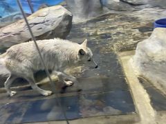 -梦幻海洋王国(吾悦广场张家港店)