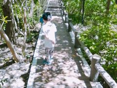 -新江湾城公园