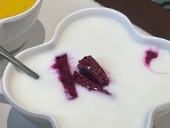 -新仙清汤牛腩(铜锣湾店)