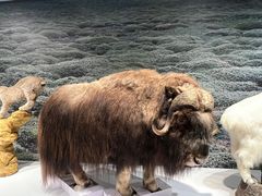 -中国湿地博物馆