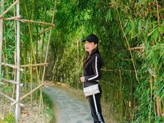 -竹子庵公园