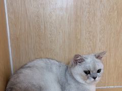 -美联众合动物医院·24h京西诊疗中心