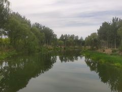 -东郊湿地公园