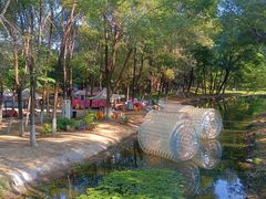 -长白岛森林公园