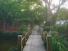 -秋霞圃