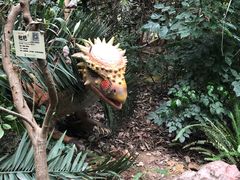 -呀路古热带植物园