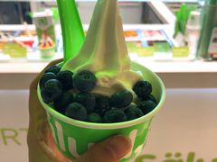 -Salud撒露欧洲冻酸奶(北苑上品店)