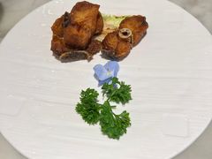 -蝶园·装修中(BFC外滩金融中心店)