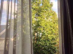 -福建鲤鱼洲酒店