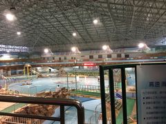 -大康水上乐园