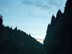 -武陵山森林公园