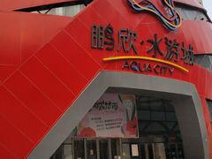 -鹏欣水游城