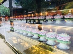 -安多素食(广仁寺路店)