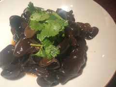 爽口木耳-绿茶餐厅(华联万柳店)