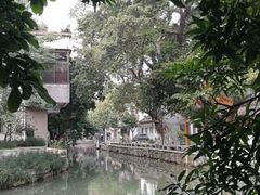 -小洲村