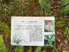 -中国科学院西双版纳热带植物园