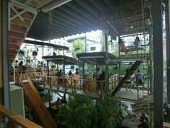 -Rainforest