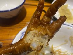 -南海鸽天下(肇庆店)