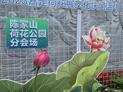 -陈家山荷花公园