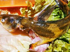 嘎鱼-三个大叔东北烧烤·砂锅菜(西三旗店)