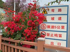 -小南山公园