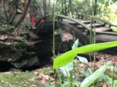 -九华秋浦胜境大王洞风景区