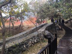 -北京十三陵国家森林公园蟒山景区