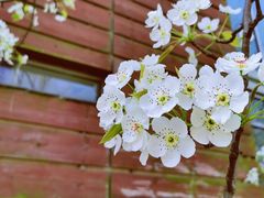 -白塘生态植物园