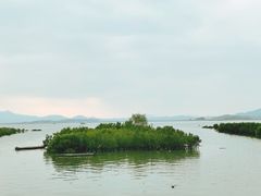 -大亚湾红树林城市湿地公园