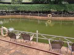 -侯臣咖啡文化村