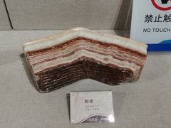 -安徽省地质博物馆