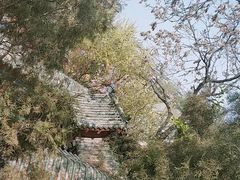 -中国翰园碑林