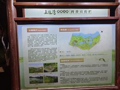 -五缘湾湿地公园