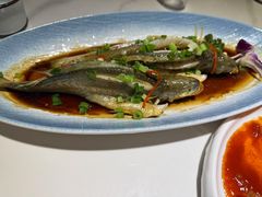 -33号大院·青岛本帮菜(五四广场店)