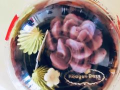 雪芙肉肉-哈根达斯(南开大悦城店)