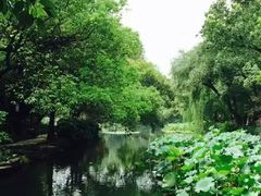 -楼外楼(玉泉店)