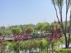 -东郊湿地公园