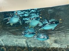 -成都浩海立方海洋公园