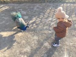 -萌宠亲子动物乐园(槐房万达店)